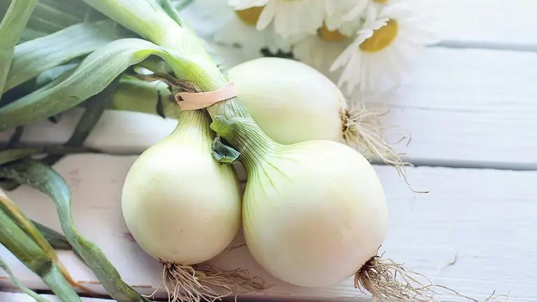 Koji luk je ukusniji – crveni, bijeli ili žuti: evo što trebate znati
